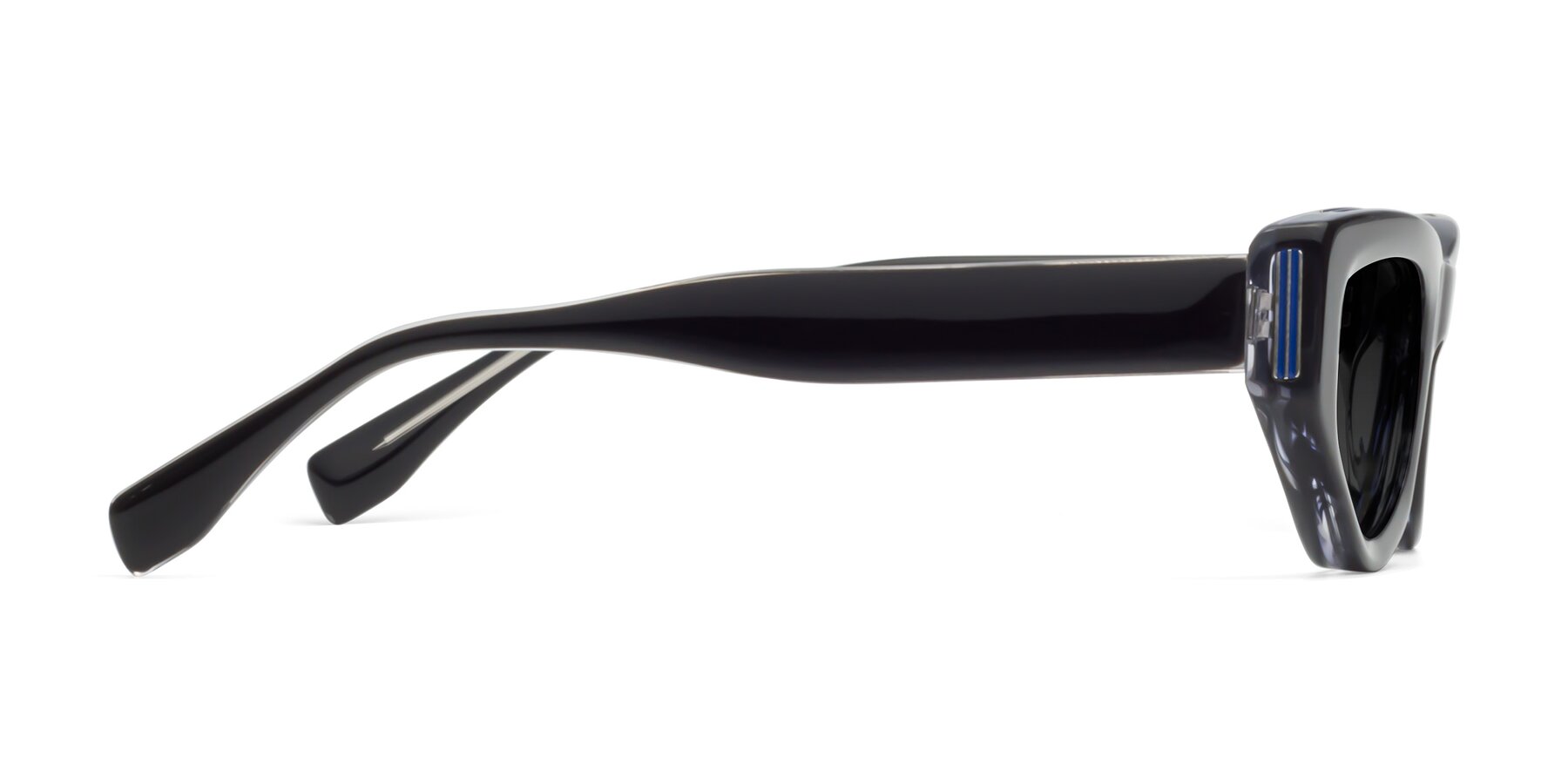 Side of 1313 in Black with Gray Polarized TAC Lenses