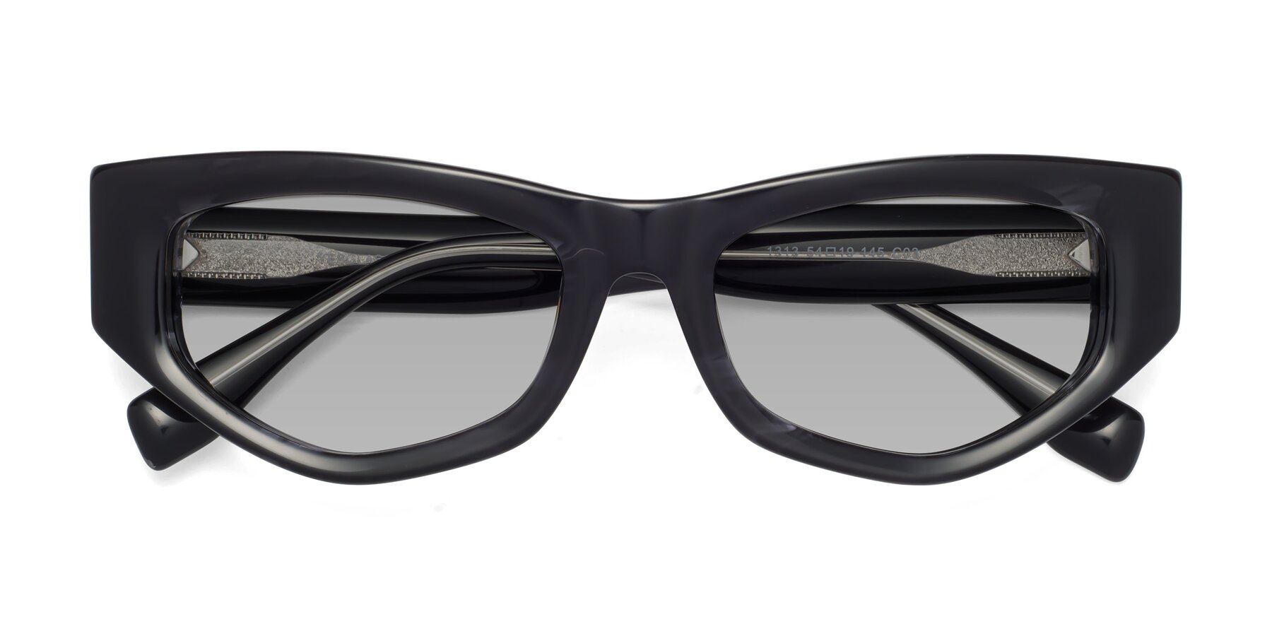 Folded Front of 1313 in Black with Light Gray Tinted Lenses