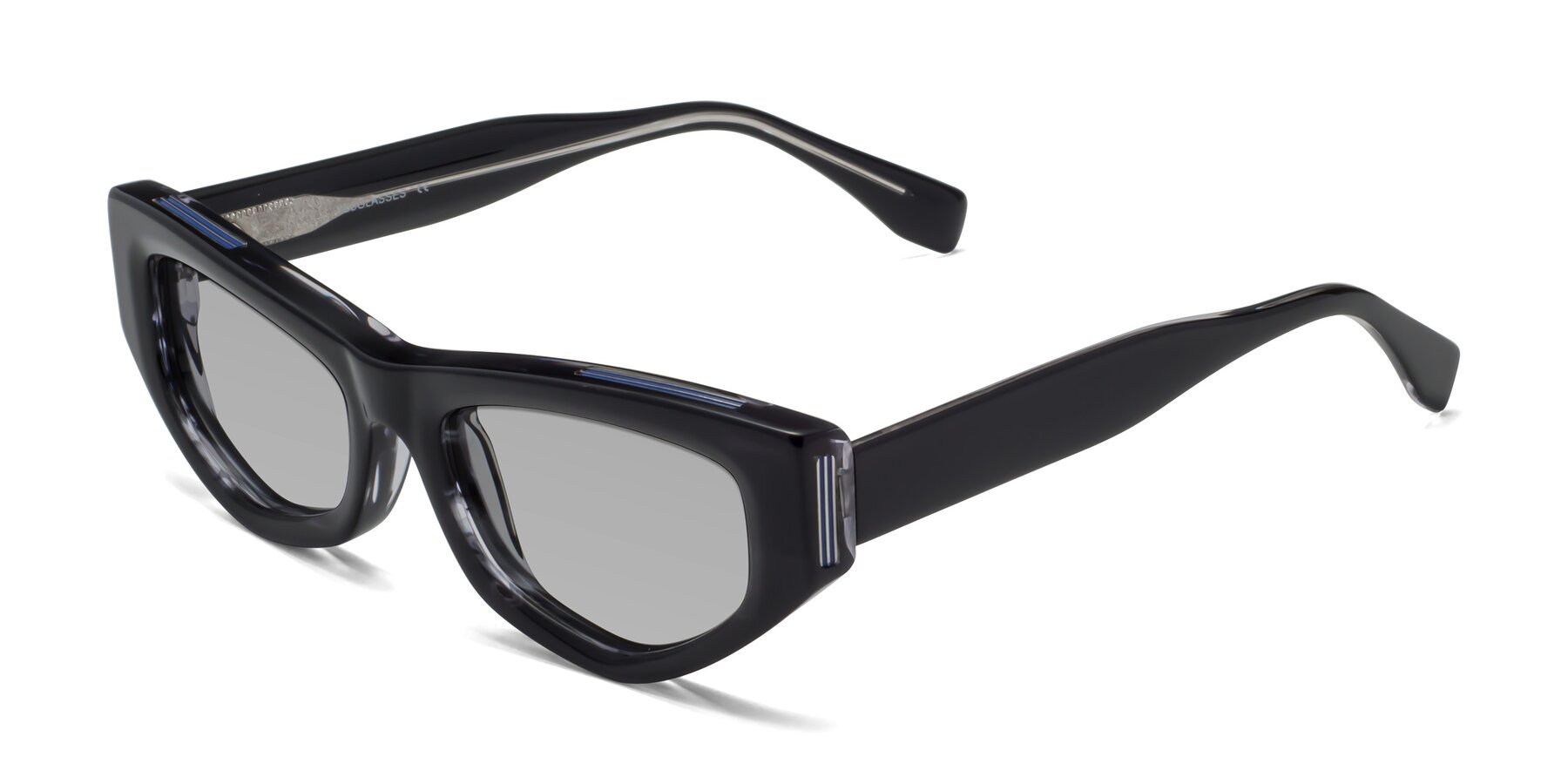Angle of 1313 in Black with Light Gray Tinted Lenses