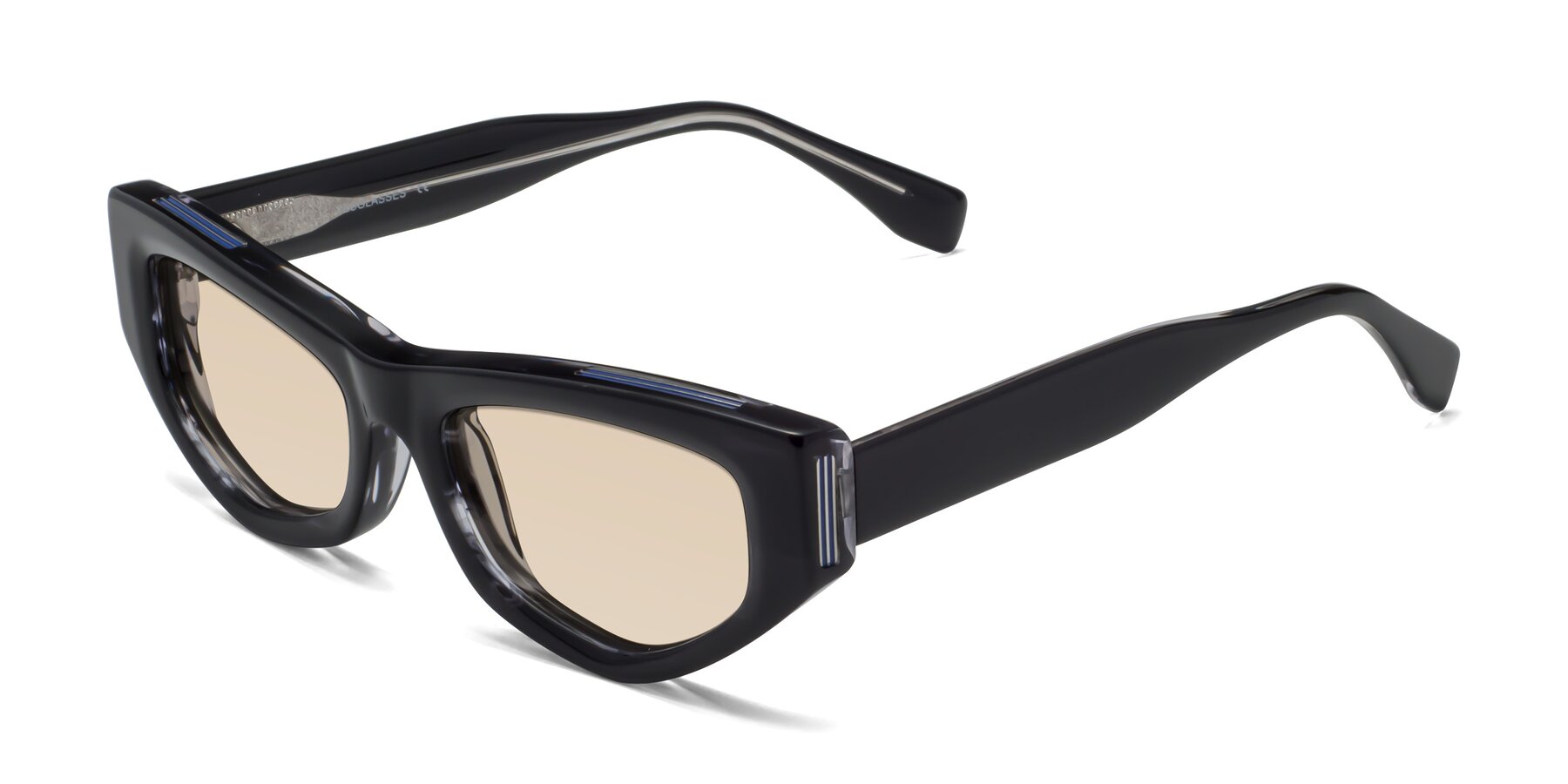 Angle of 1313 in Black with Light Brown Tinted Lenses
