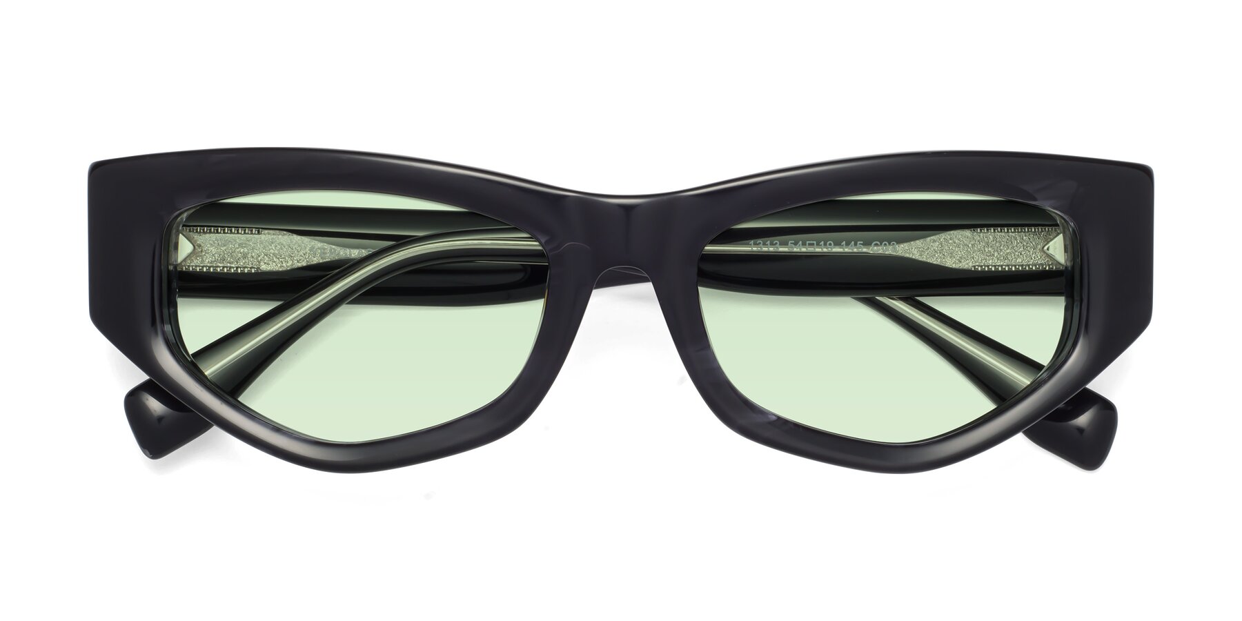 Folded Front of 1313 in Black with Light Green Tinted Lenses