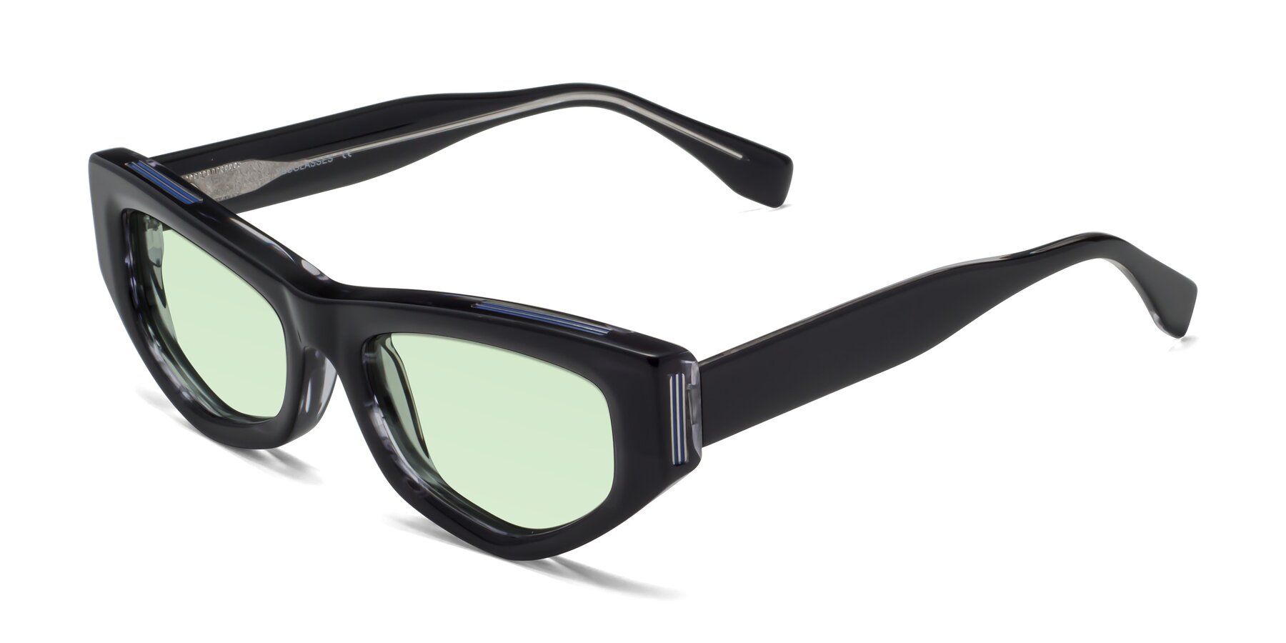 Angle of 1313 in Black with Light Green Tinted Lenses