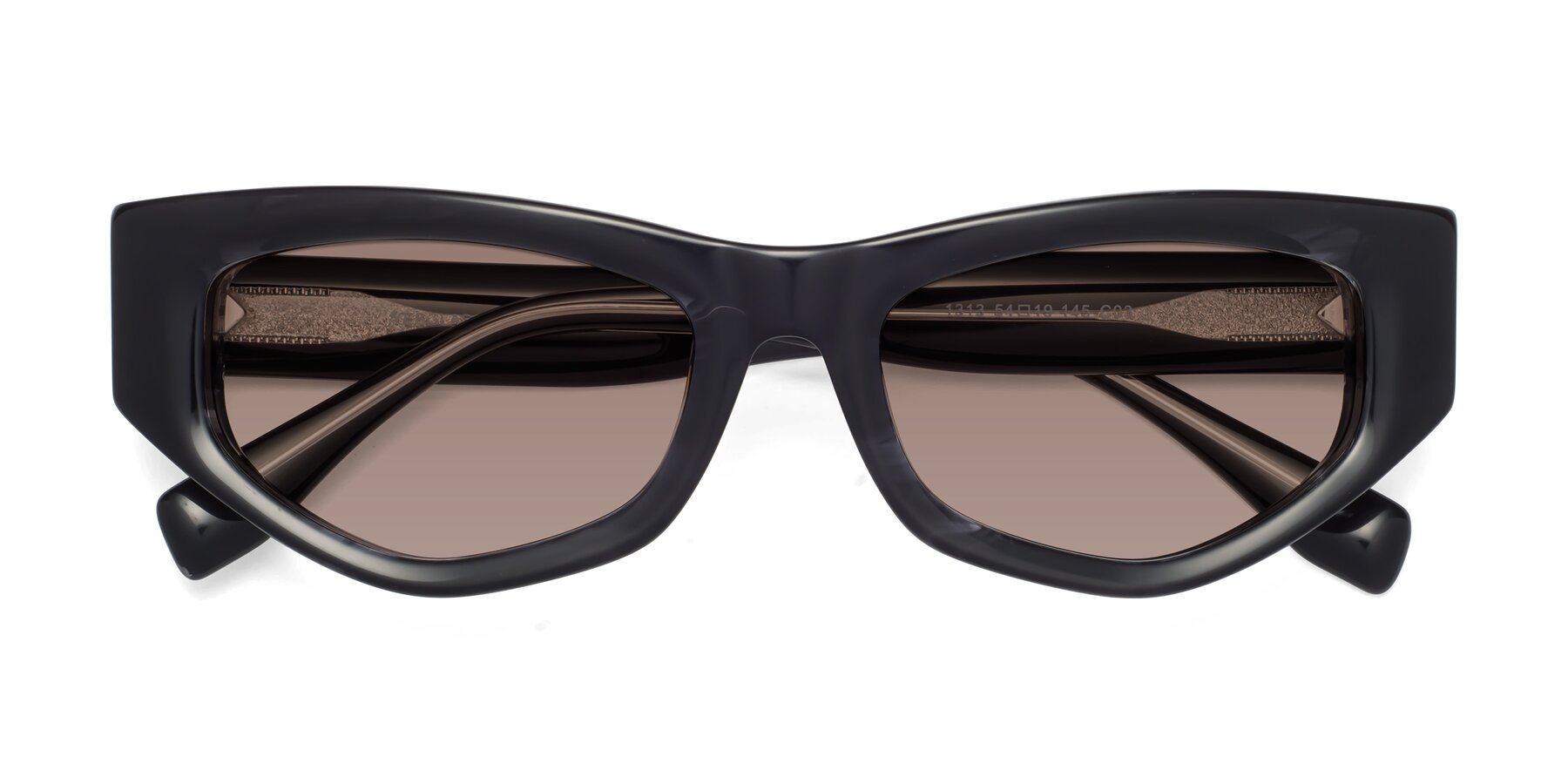 Folded Front of 1313 in Black with Medium Brown Tinted Lenses