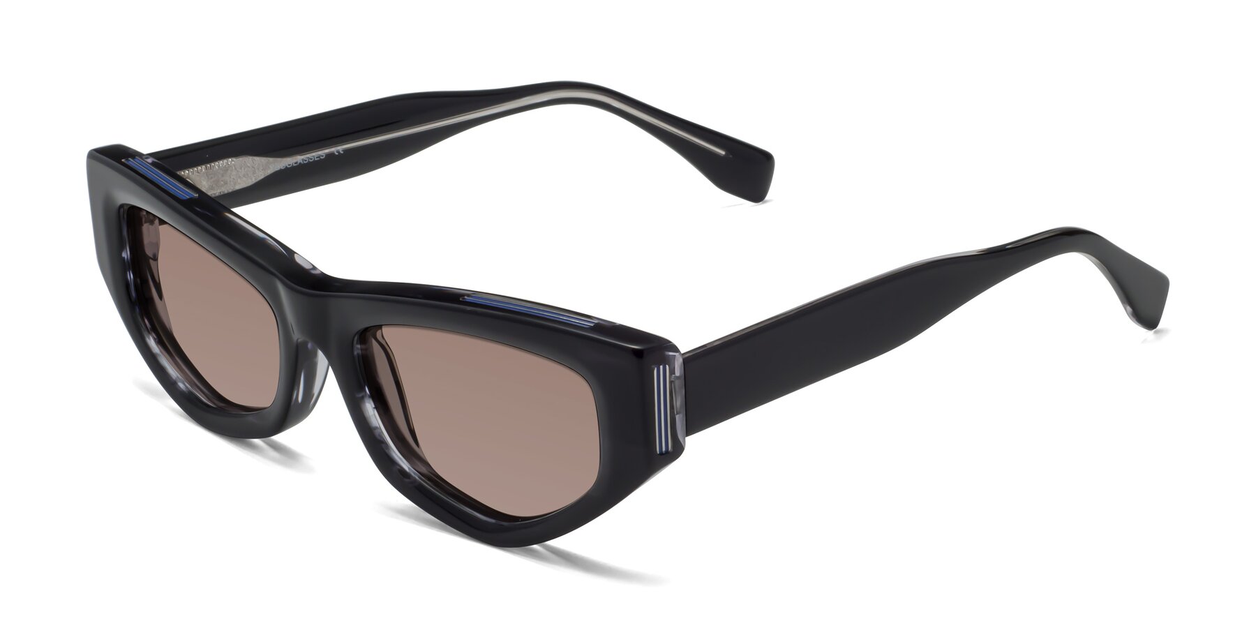 Angle of 1313 in Black with Medium Brown Tinted Lenses