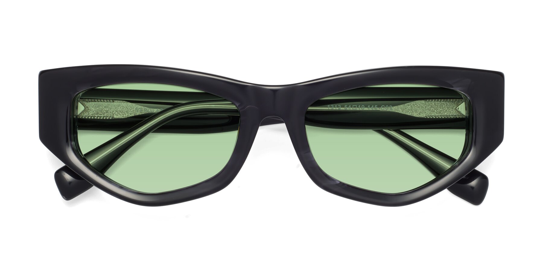 Folded Front of 1313 in Black with Medium Green Tinted Lenses