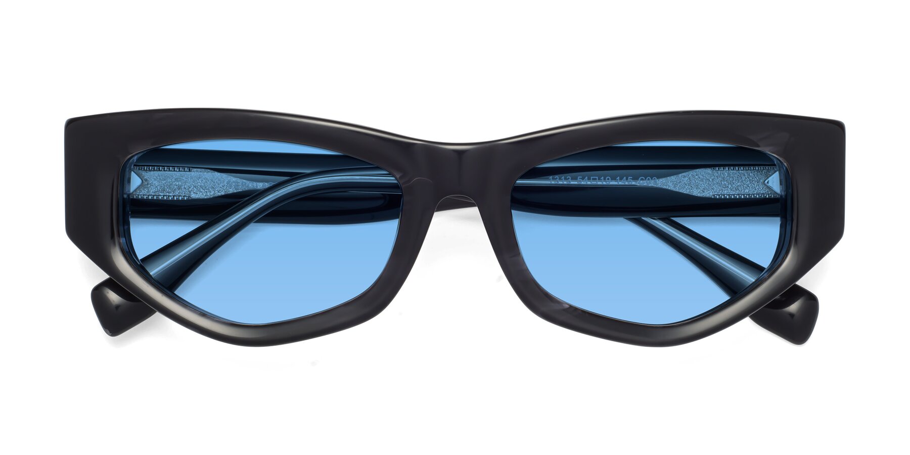 Folded Front of 1313 in Black with Medium Blue Tinted Lenses