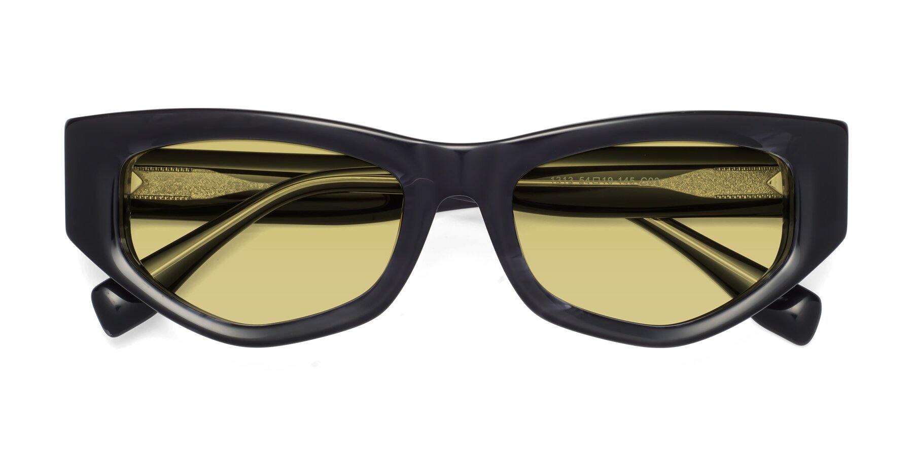 Folded Front of 1313 in Black with Medium Champagne Tinted Lenses
