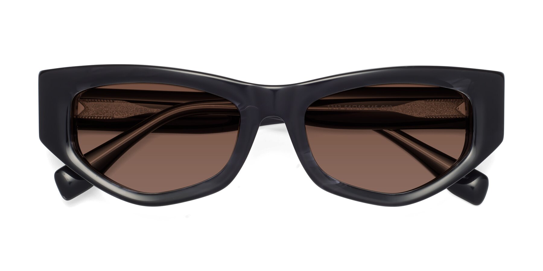 Folded Front of 1313 in Black with Brown Tinted Lenses