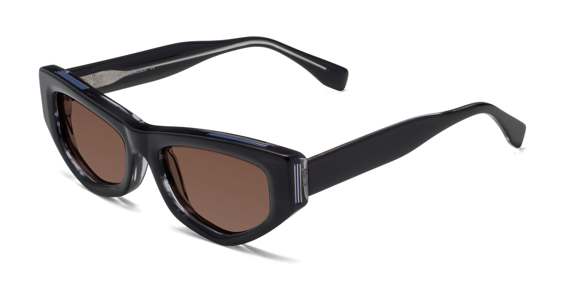 Angle of 1313 in Black with Brown Tinted Lenses