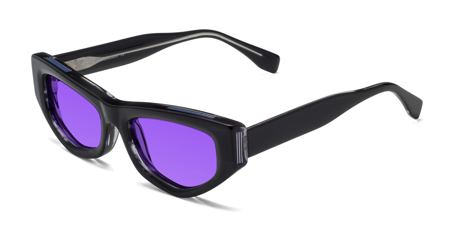 Angle of 1313 in Black with Purple Tinted Lenses