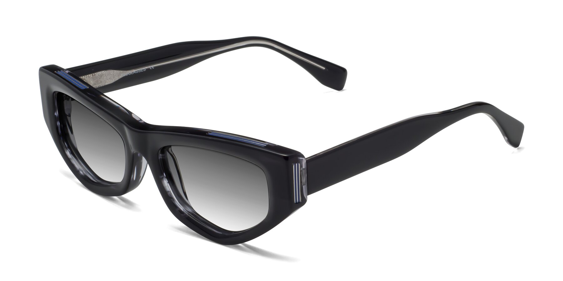 Angle of 1313 in Black with Gray Gradient Lenses