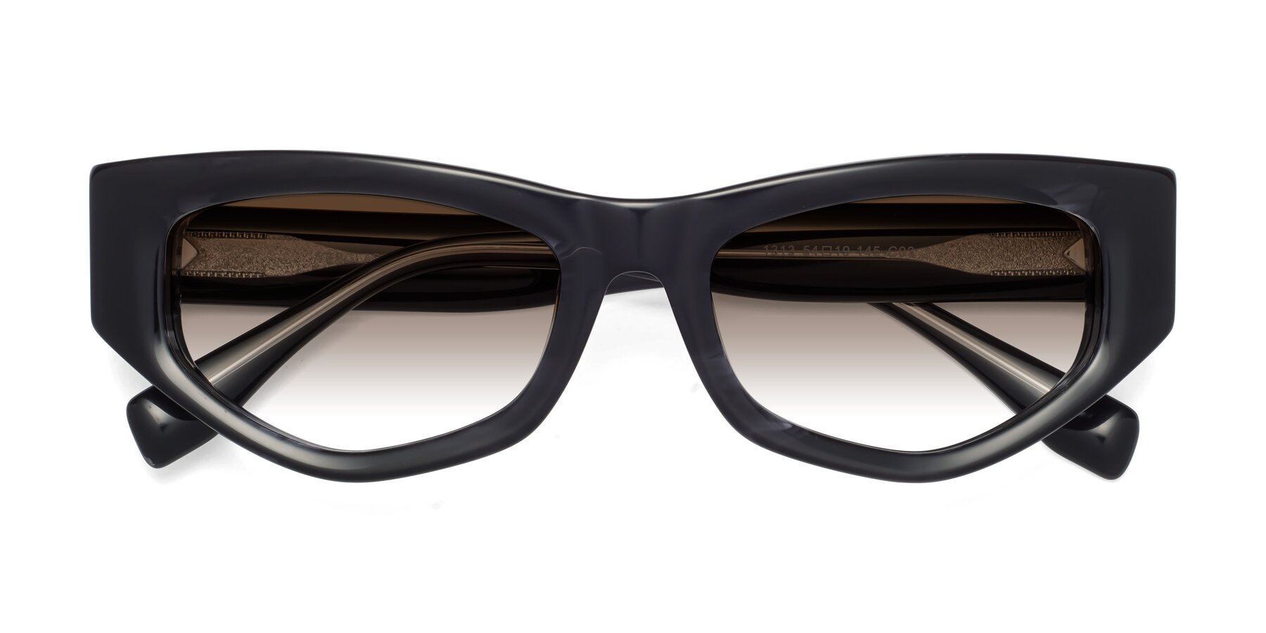 Folded Front of 1313 in Black with Brown Gradient Lenses