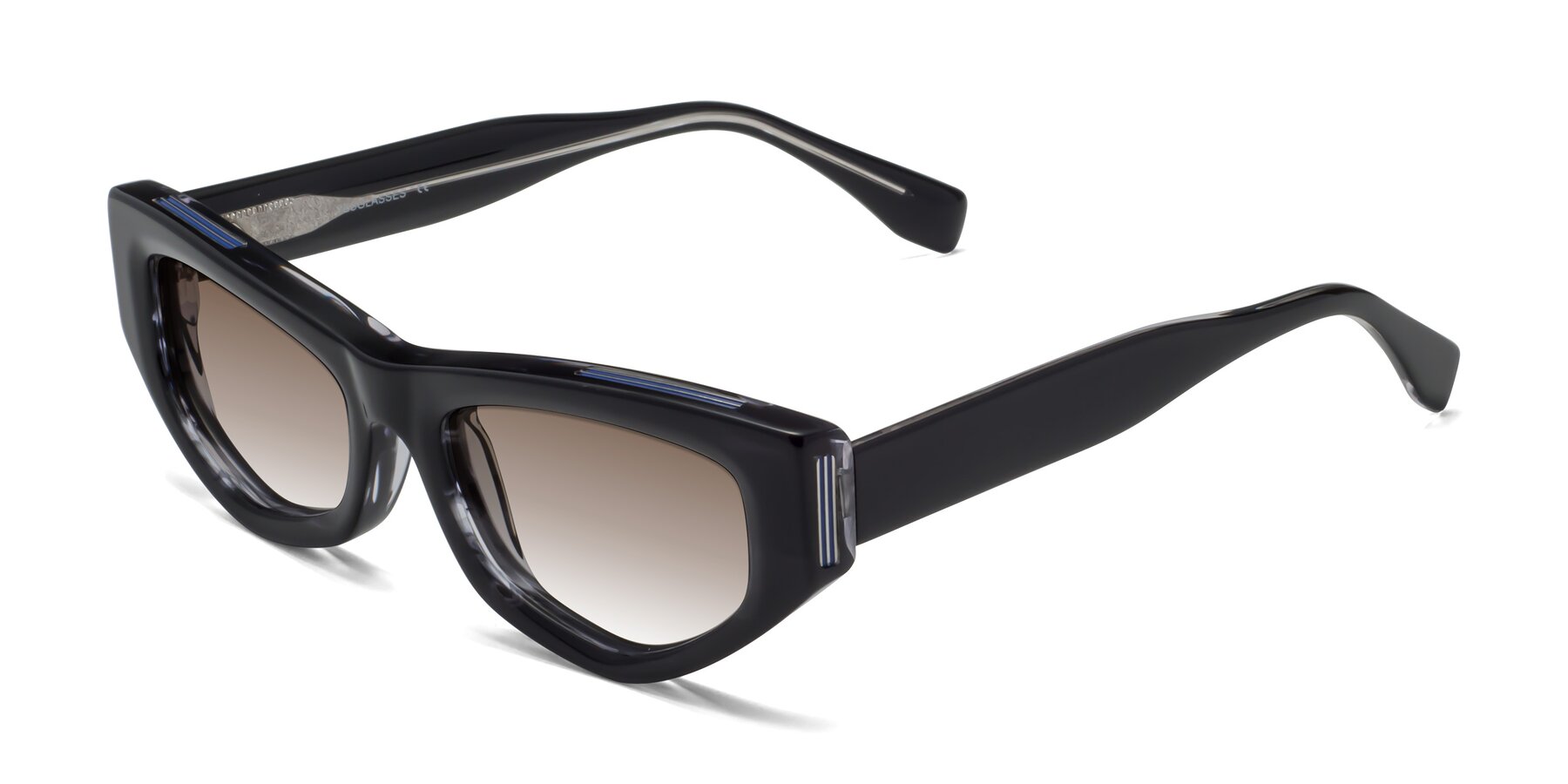 Angle of 1313 in Black with Brown Gradient Lenses