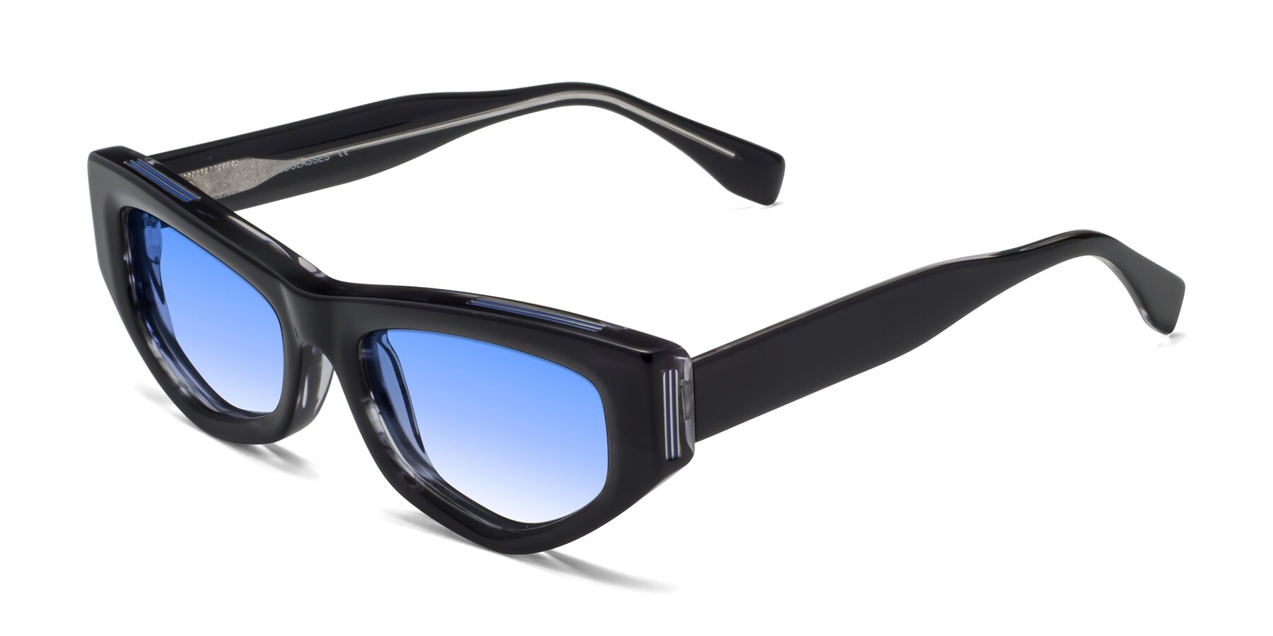 Angle of 1313 in Black with Blue Gradient Lenses
