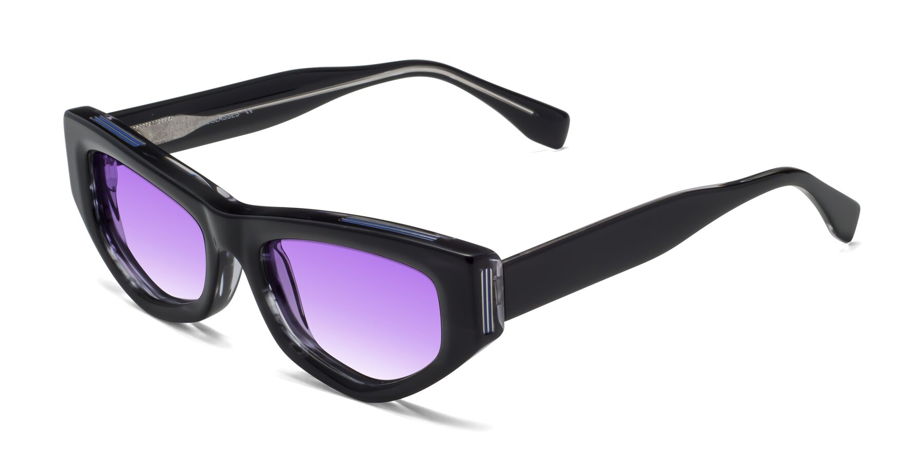 Angle of 1313 in Black with Purple Gradient Lenses