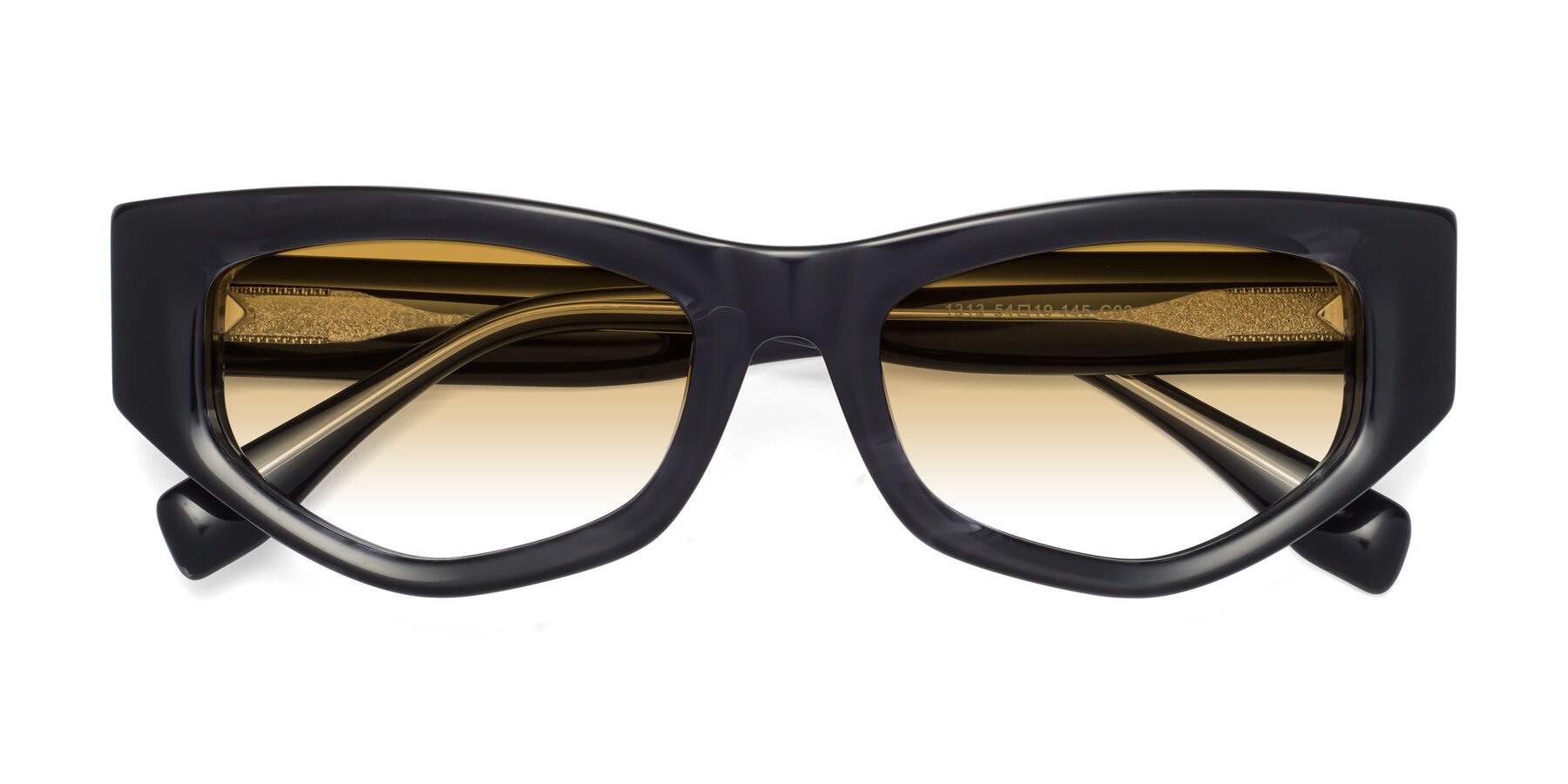 Folded Front of 1313 in Black with Champagne Gradient Lenses