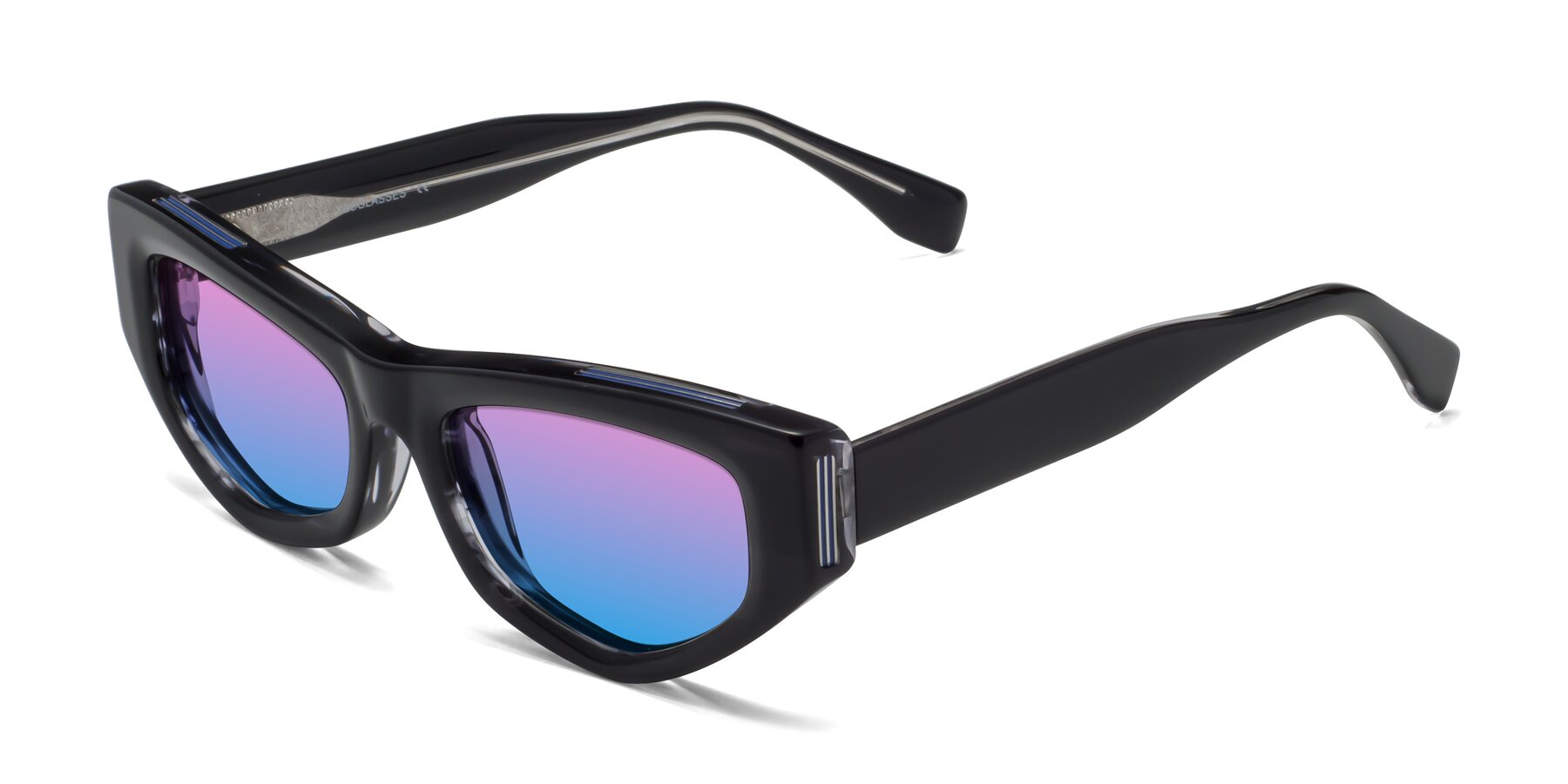 Angle of 1313 in Black with Pink / Blue Gradient Lenses