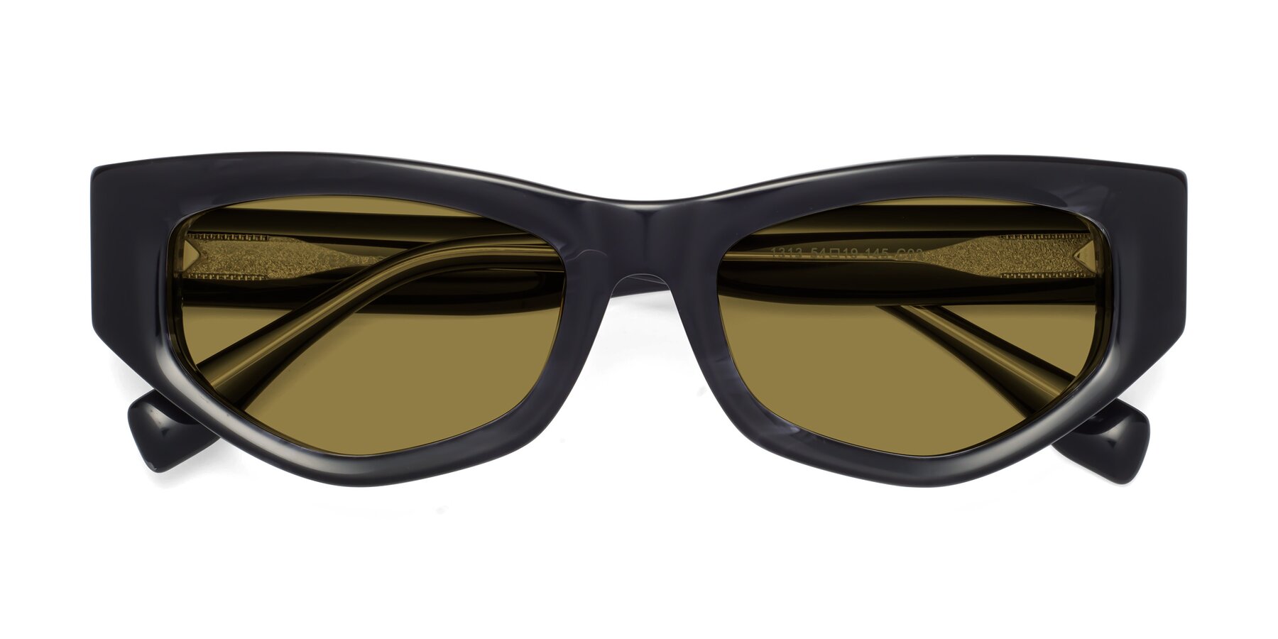 Folded Front of 1313 in Black with Brown Polarized Lenses