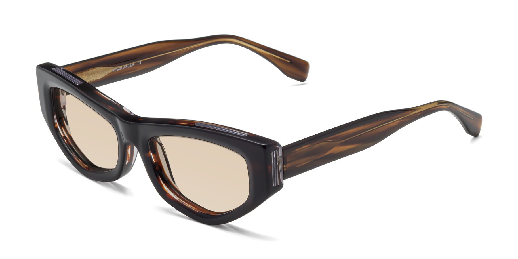 Angle of 1313 in Brown with Light Brown Tinted Lenses