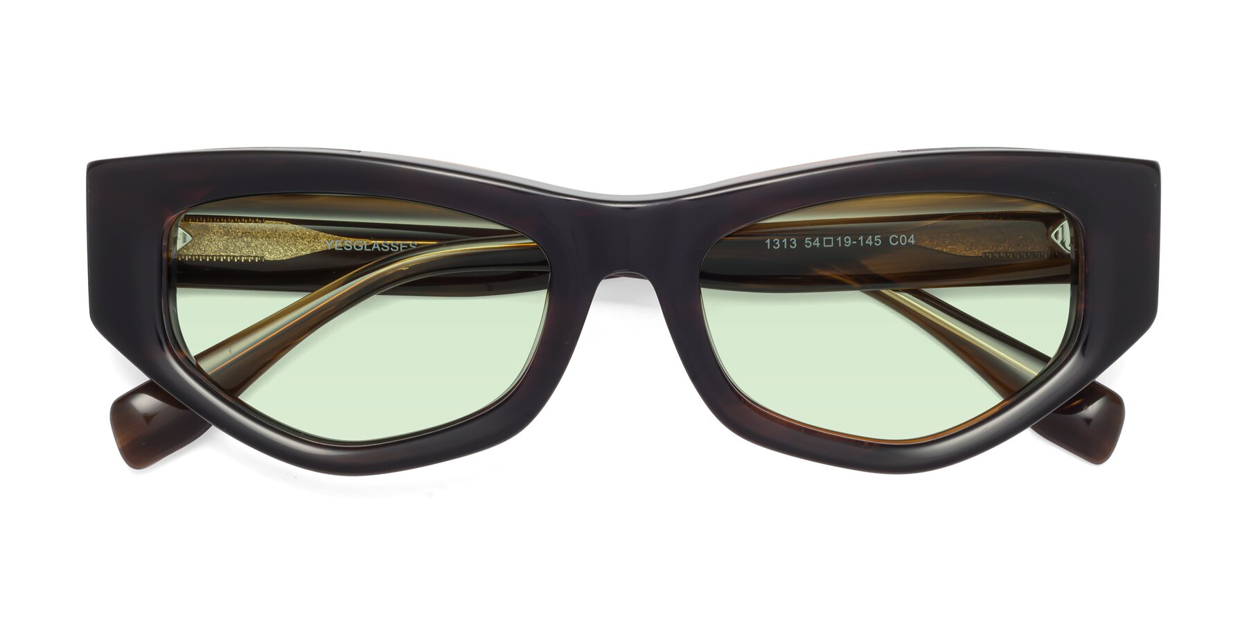 Folded Front of 1313 in Brown with Light Green Tinted Lenses