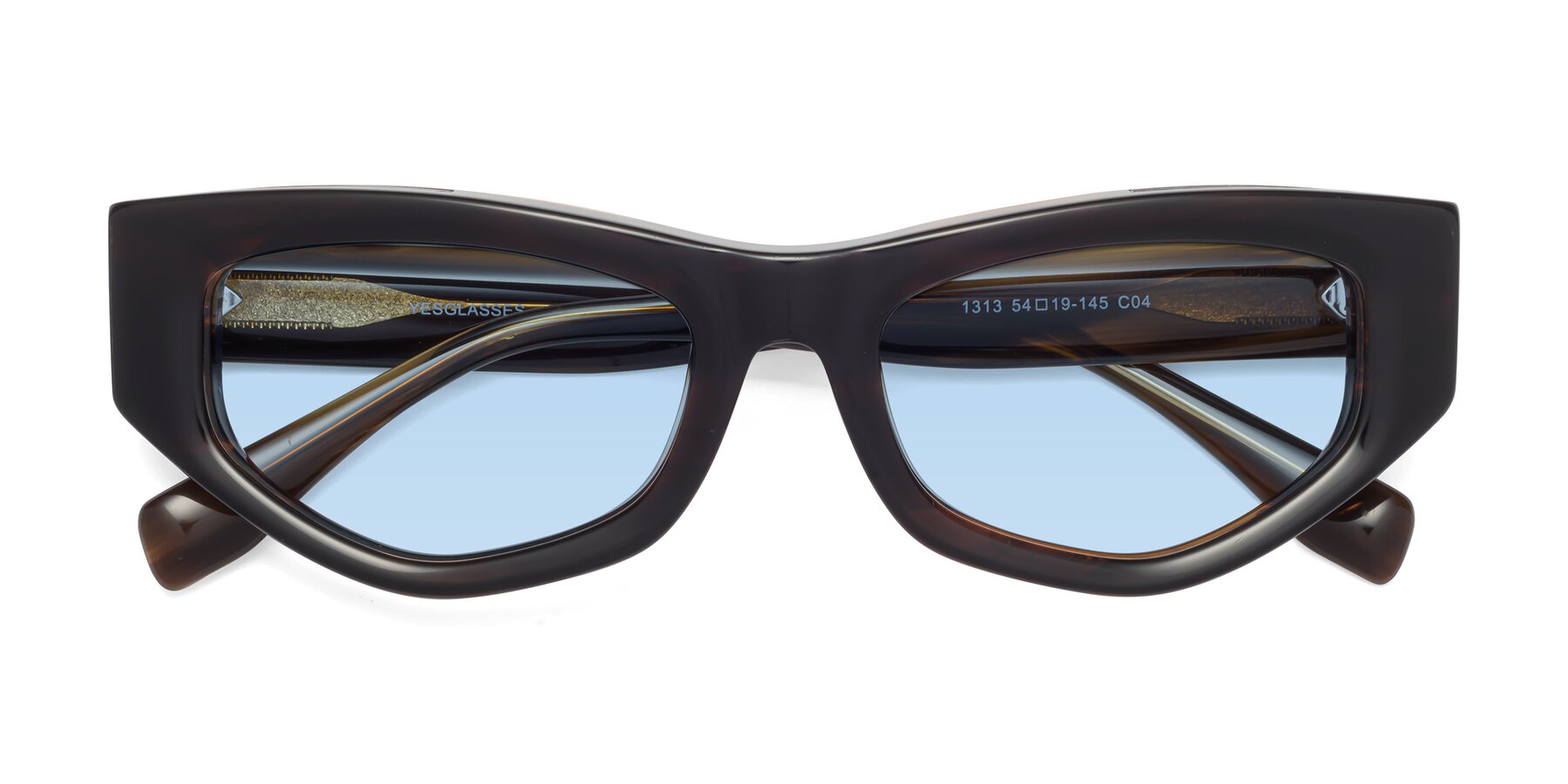 Folded Front of 1313 in Brown with Light Blue Tinted Lenses