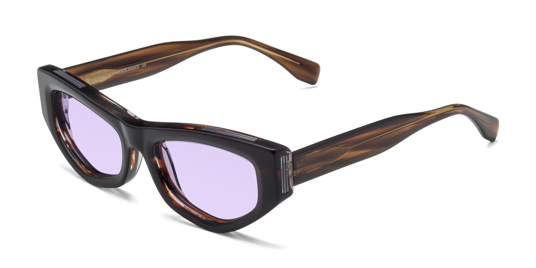 Angle of 1313 in Brown with Light Purple Tinted Lenses