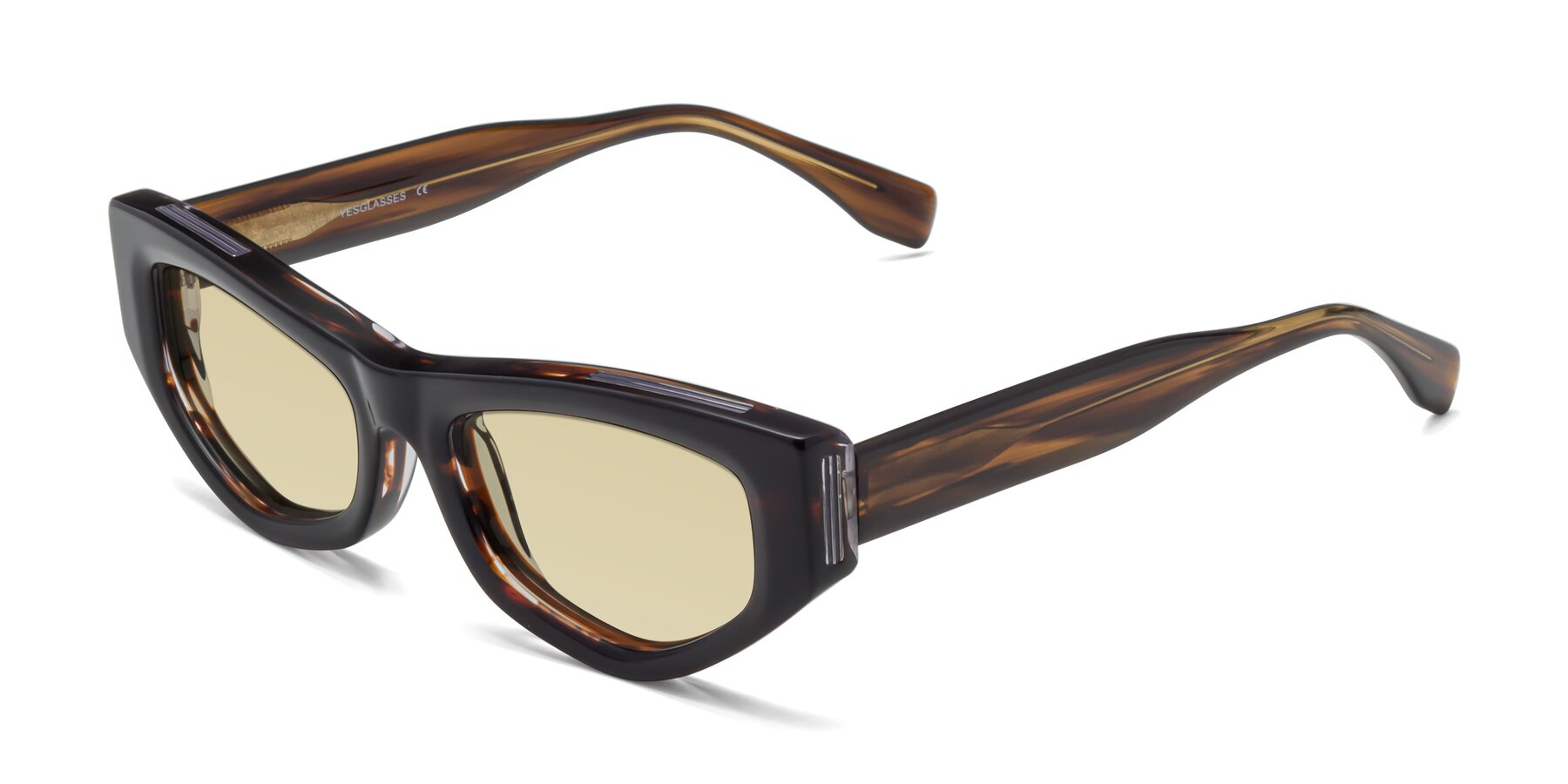 Angle of 1313 in Brown with Light Champagne Tinted Lenses