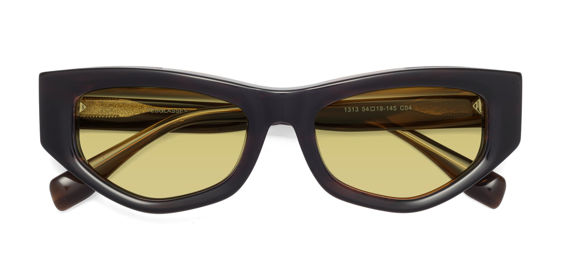 Folded Front of 1313 in Brown with Medium Champagne Tinted Lenses
