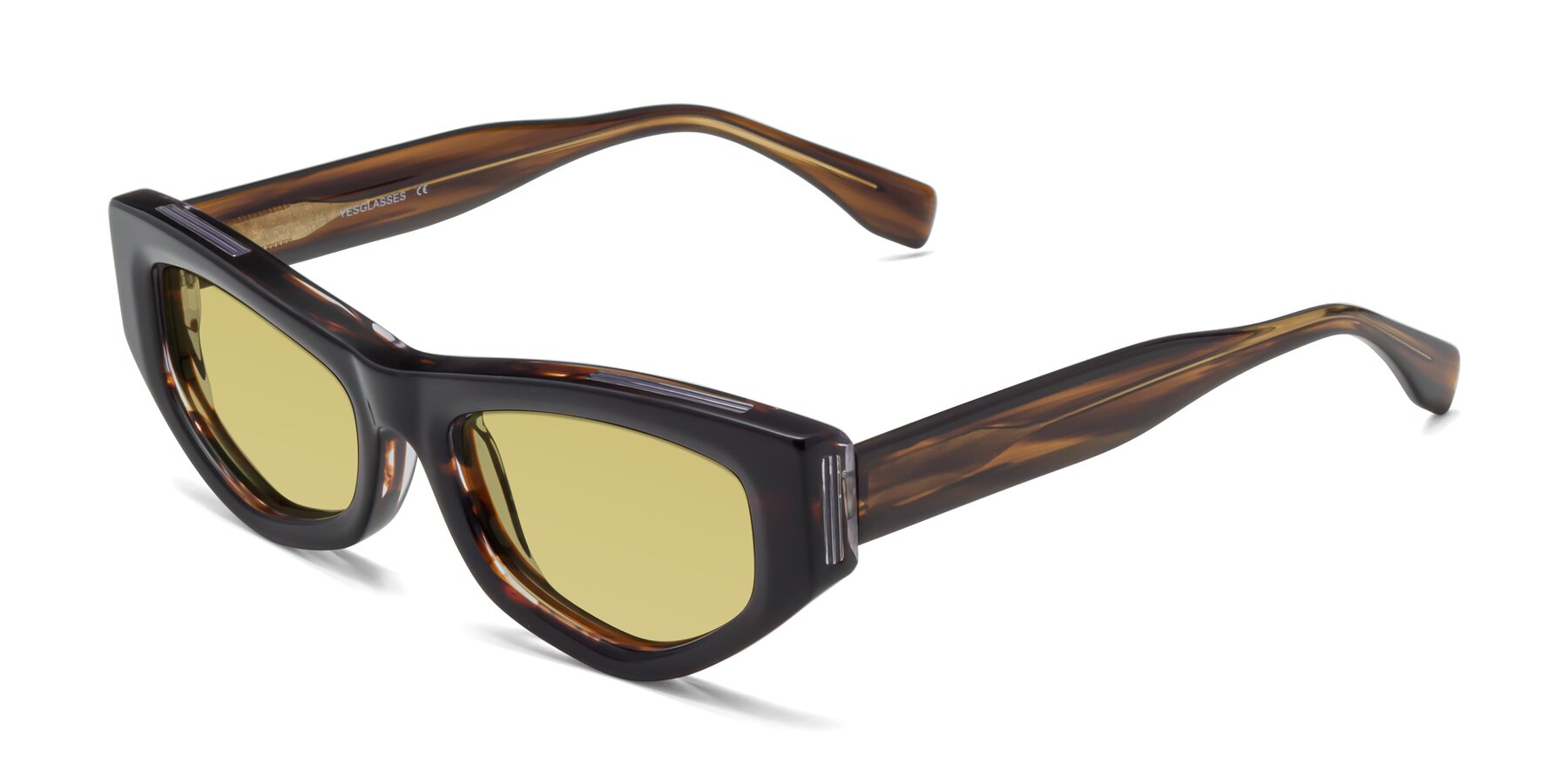 Angle of 1313 in Brown with Medium Champagne Tinted Lenses