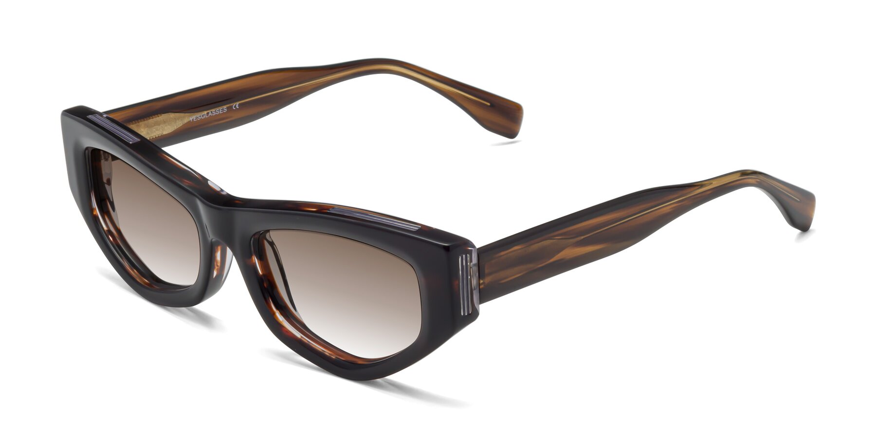 Angle of 1313 in Brown with Brown Gradient Lenses