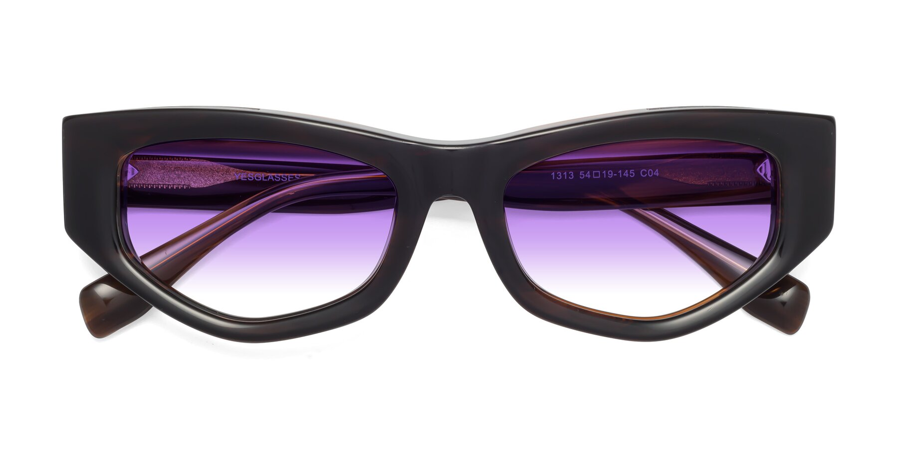 Folded Front of 1313 in Brown with Purple Gradient Lenses