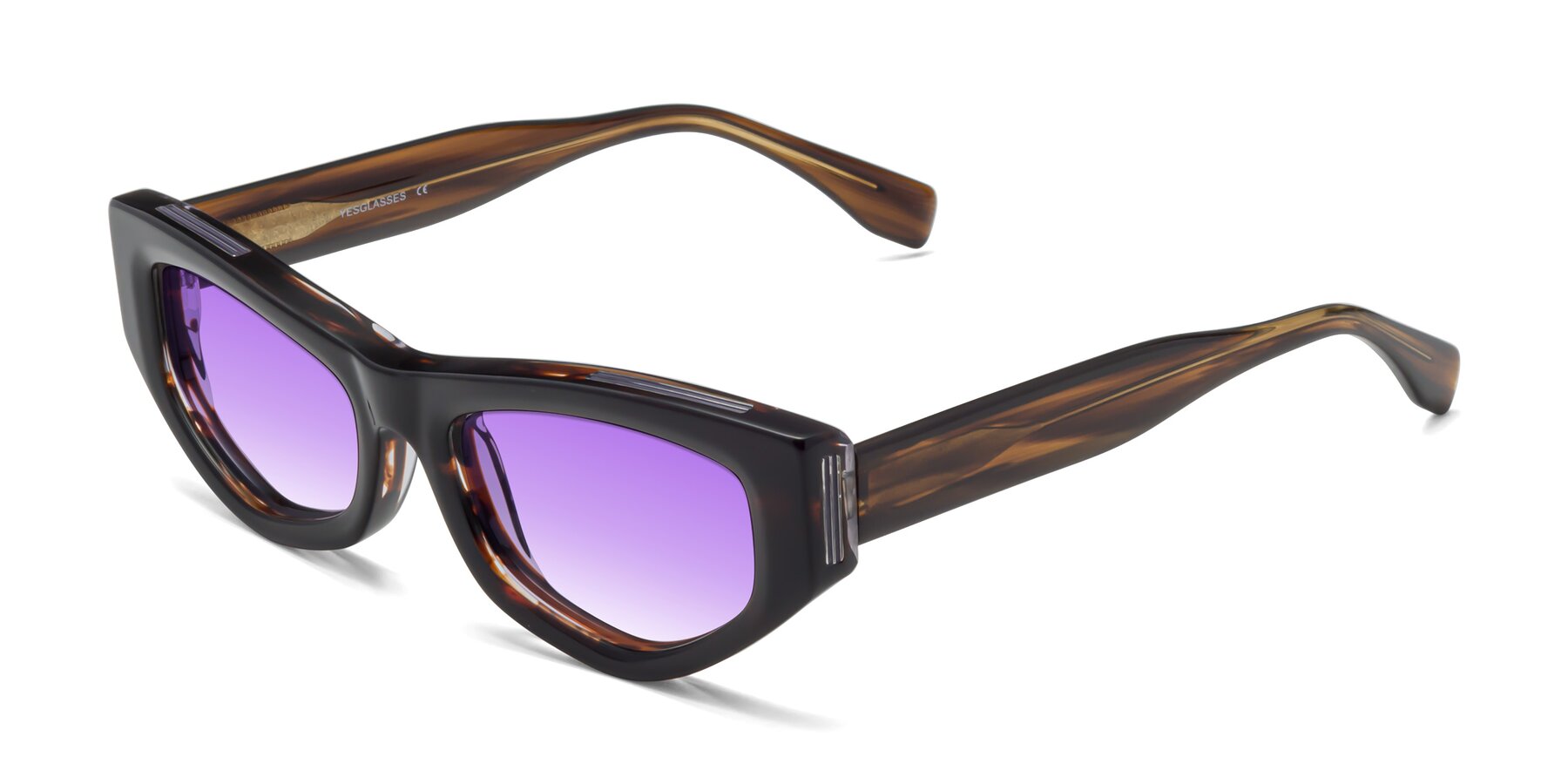 Angle of 1313 in Brown with Purple Gradient Lenses