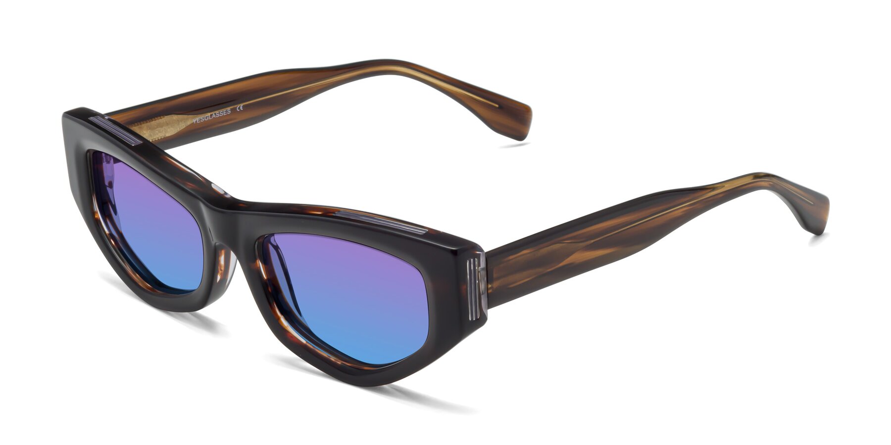 Angle of 1313 in Brown with Purple / Blue Gradient Lenses