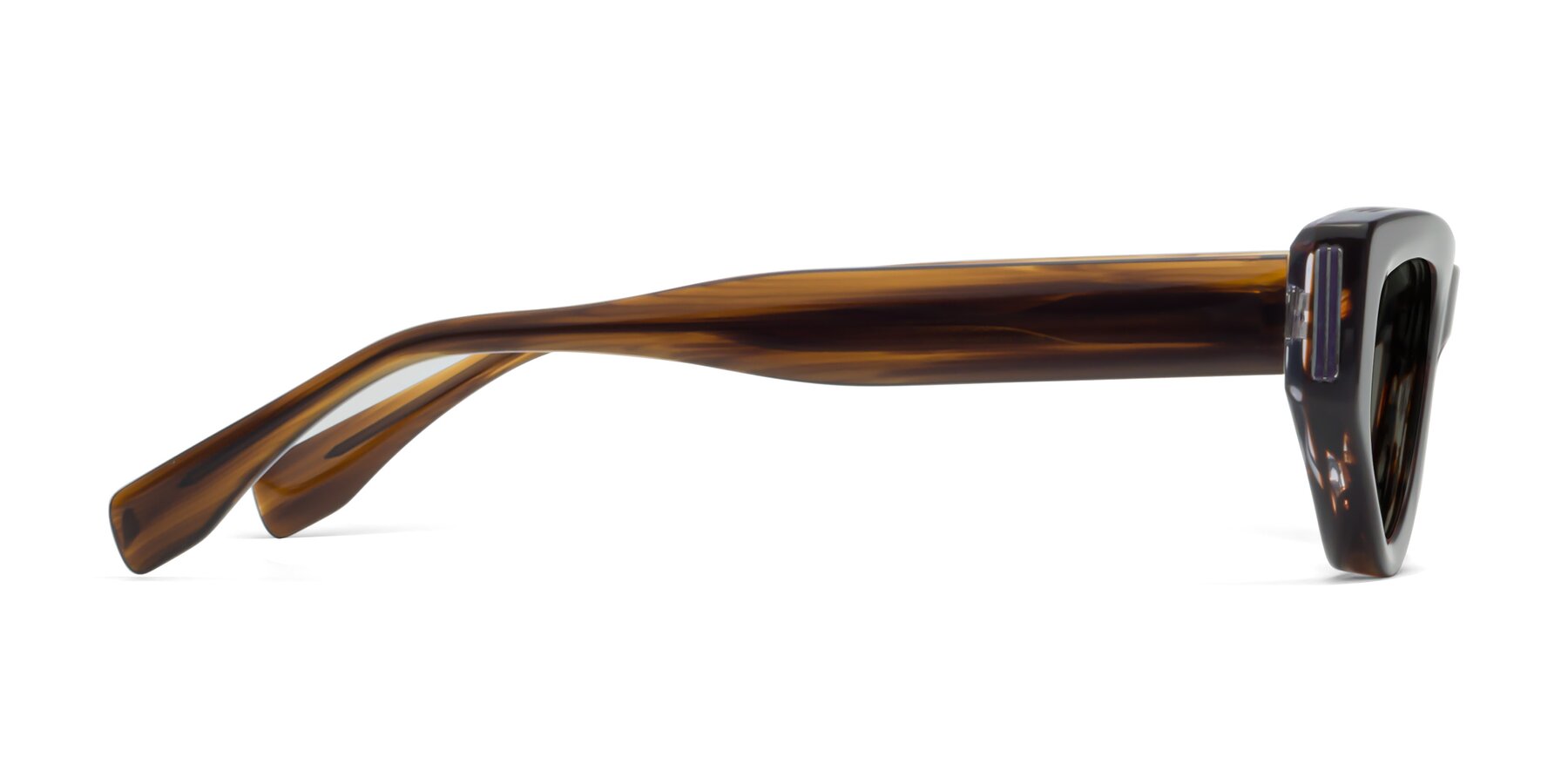 Side of 1313 in Brown with Gray Polarized Lenses