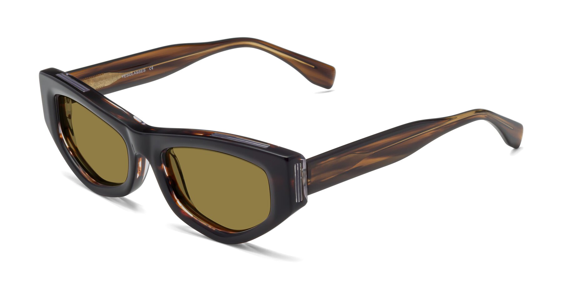 Angle of 1313 in Brown with Brown Polarized Lenses