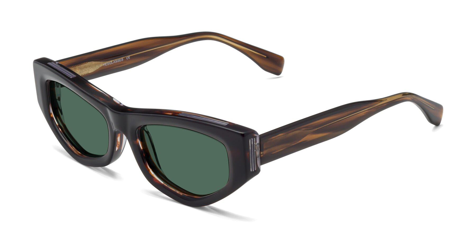 Angle of 1313 in Brown with Green Polarized Lenses