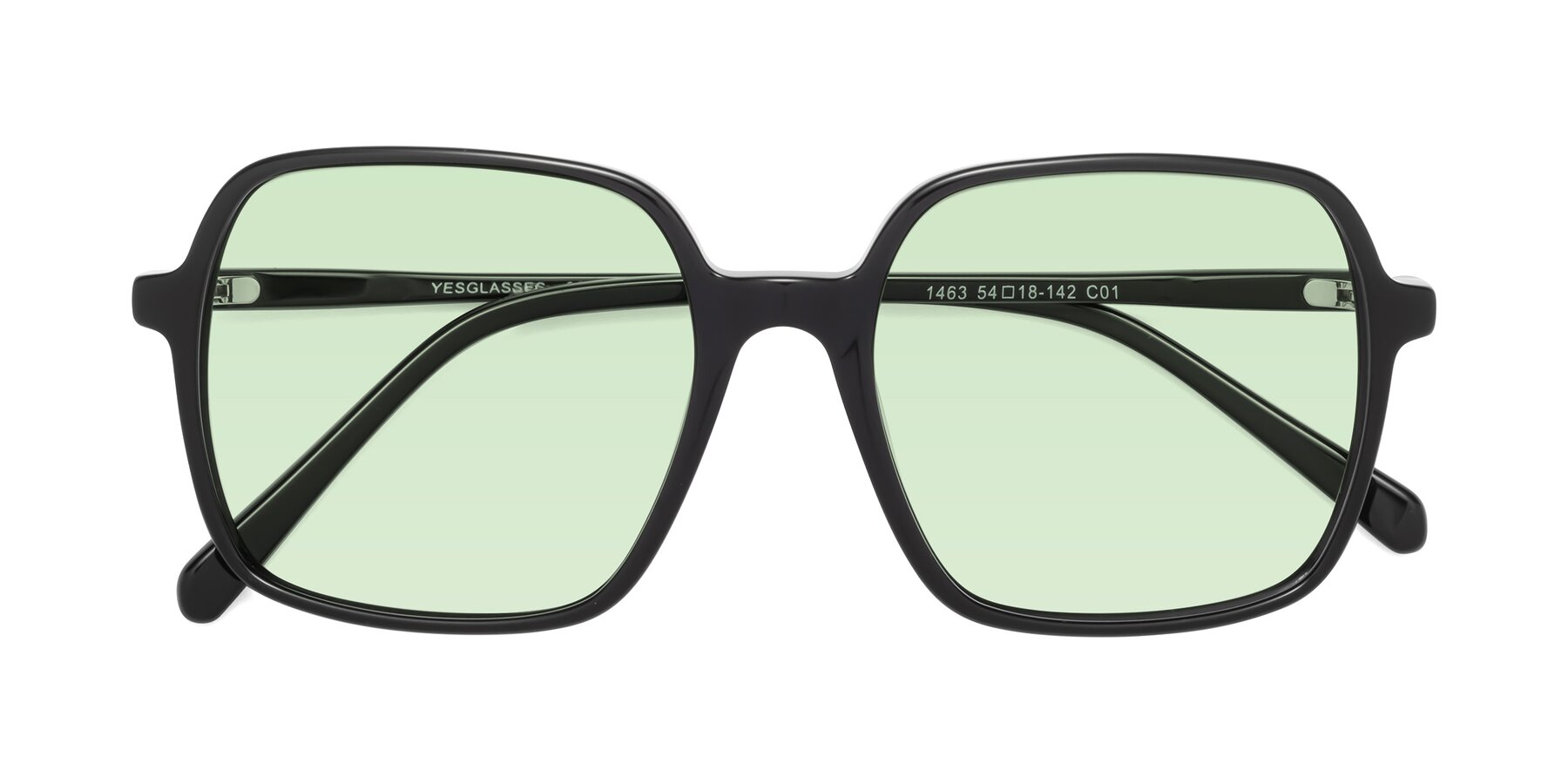 Folded Front of 1463 in Black with Light Green Tinted Lenses