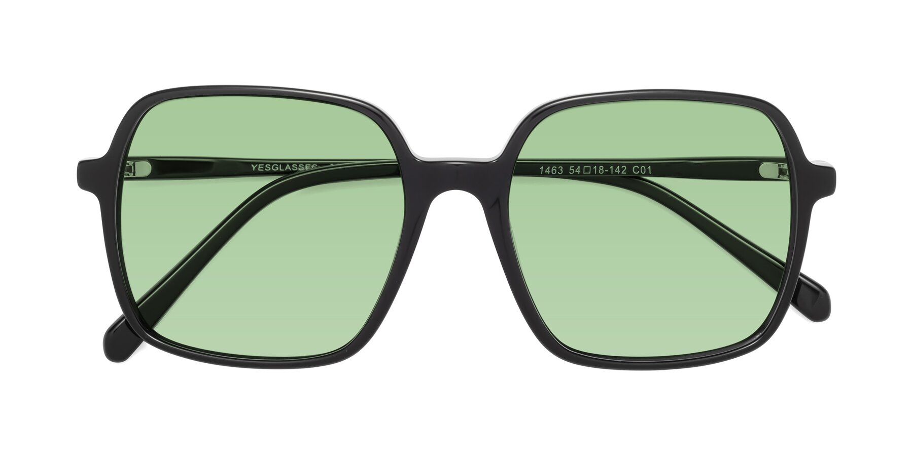 Folded Front of 1463 in Black with Medium Green Tinted Lenses
