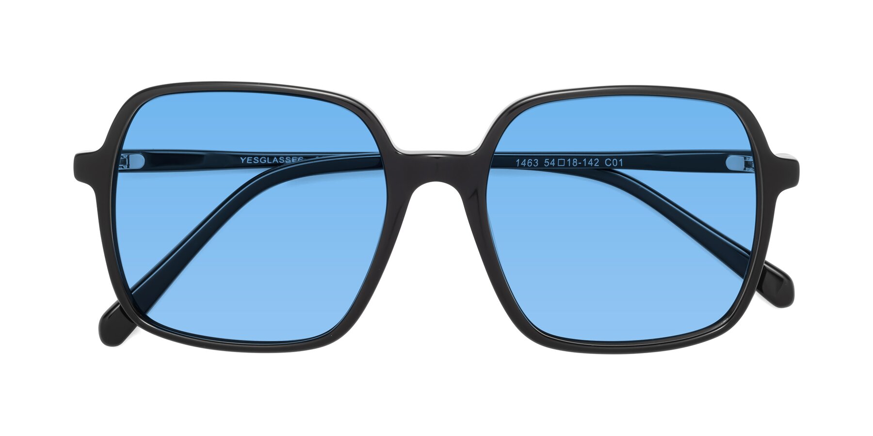 Folded Front of 1463 in Black with Medium Blue Tinted Lenses