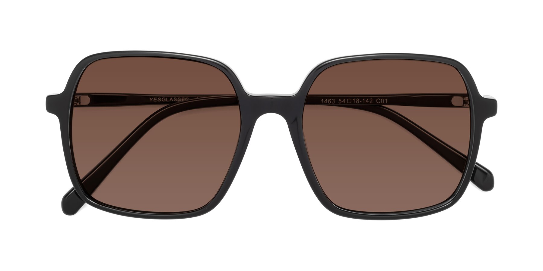 Folded Front of 1463 in Black with Brown Tinted Lenses