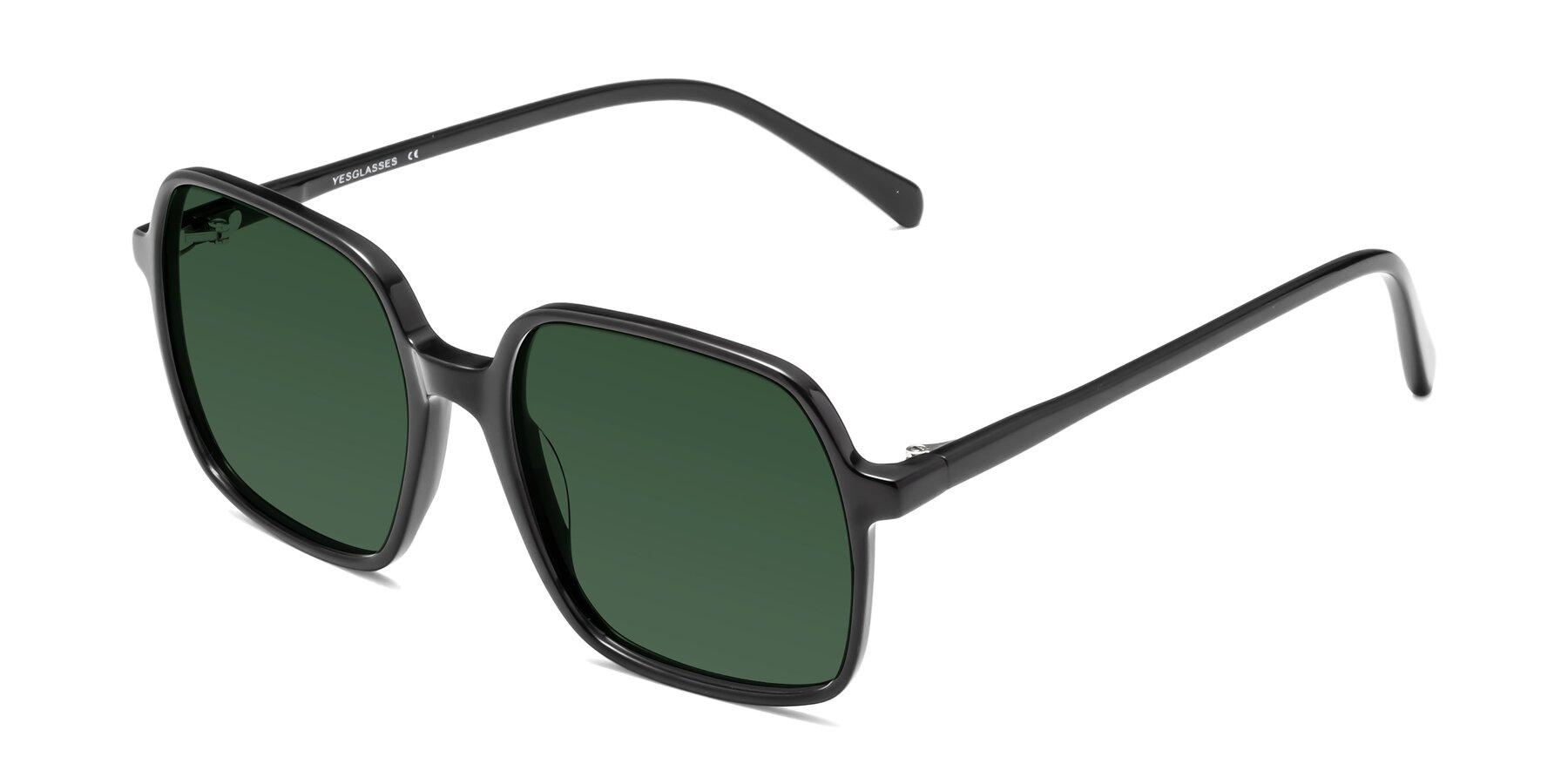 Angle of 1463 in Black with Green Tinted Lenses