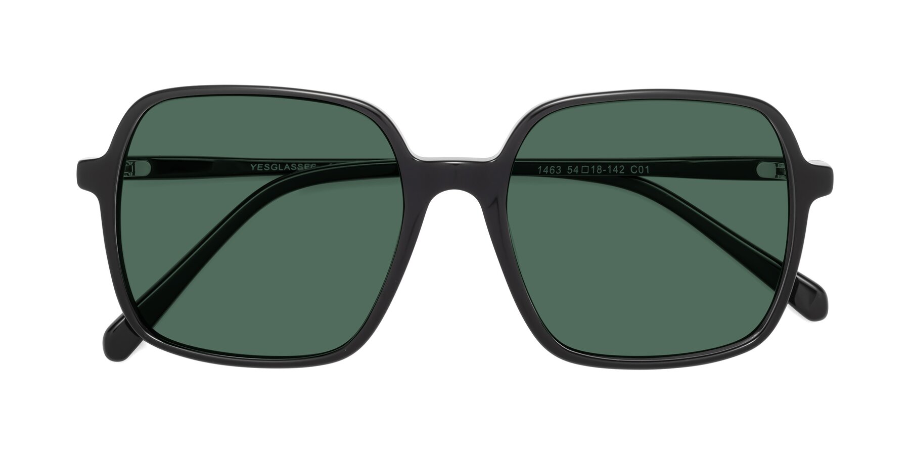 Folded Front of 1463 in Black with Green Polarized Lenses