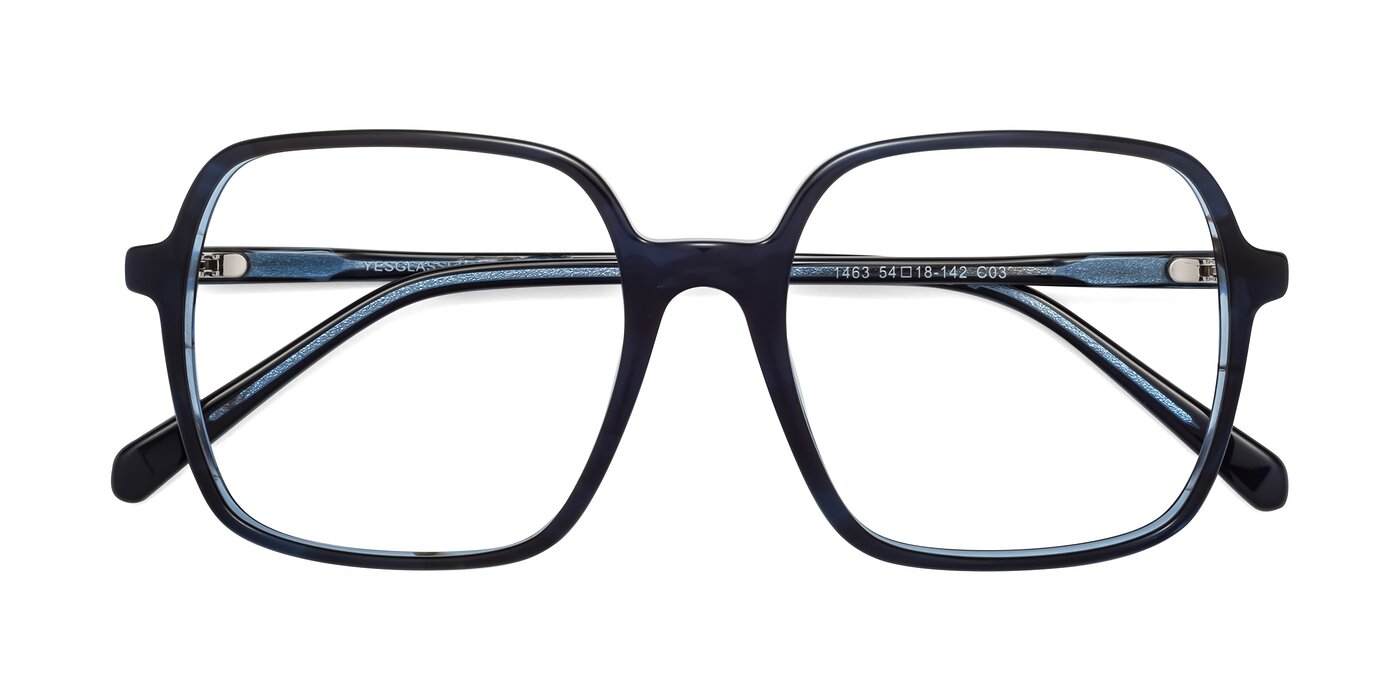 1463 - Blue Reading Glasses