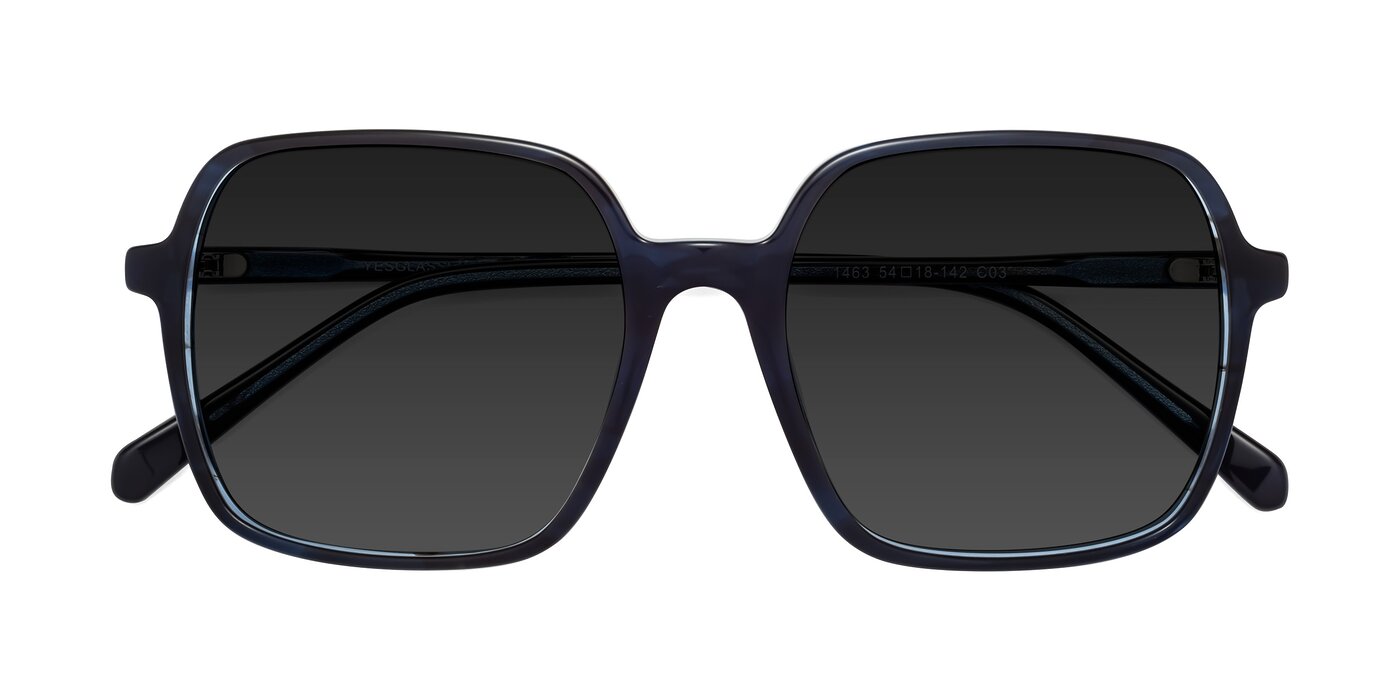 1463 - Blue Polarized Sunglasses