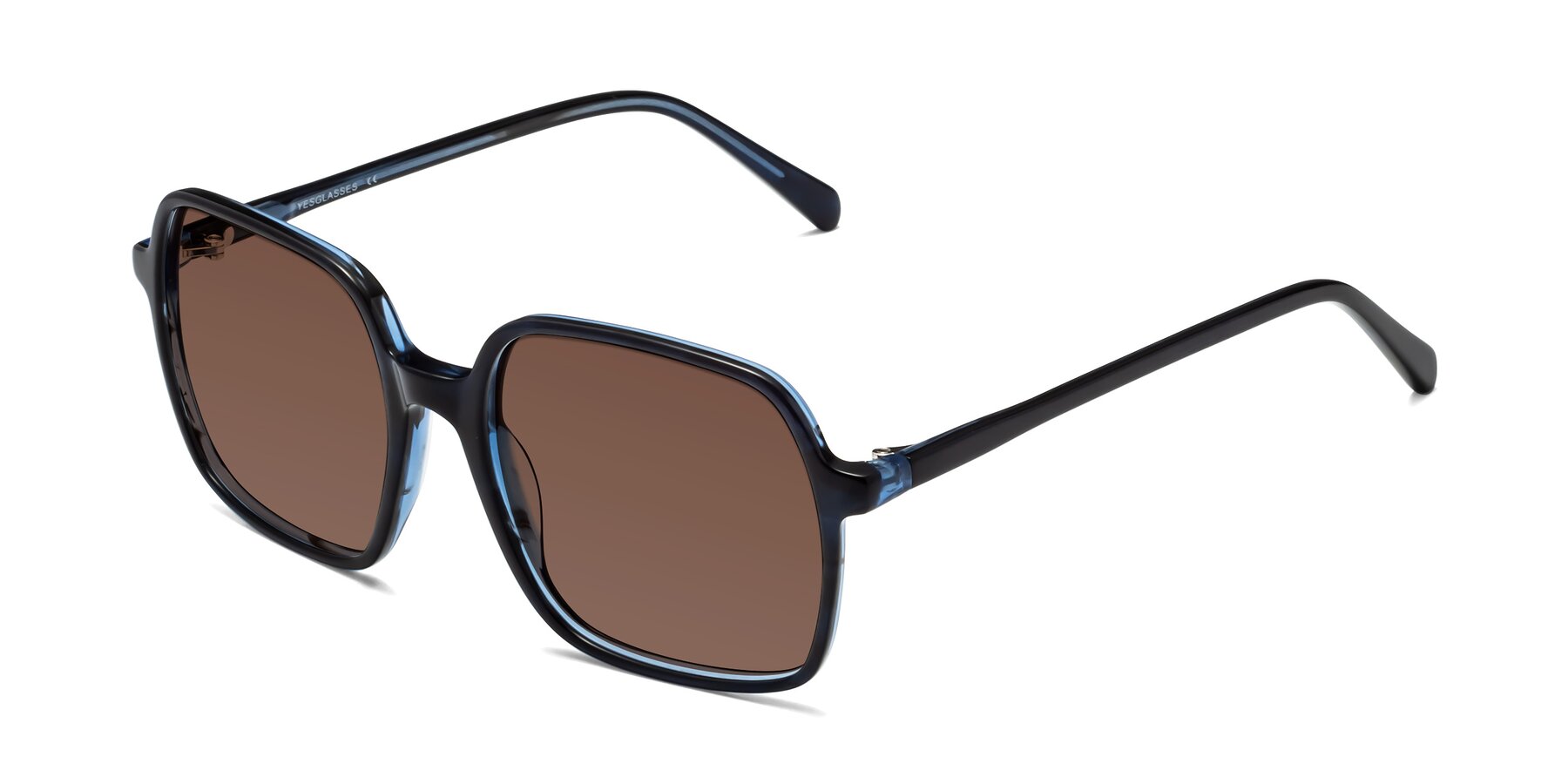 Angle of 1463 in Blue with Brown Tinted Lenses