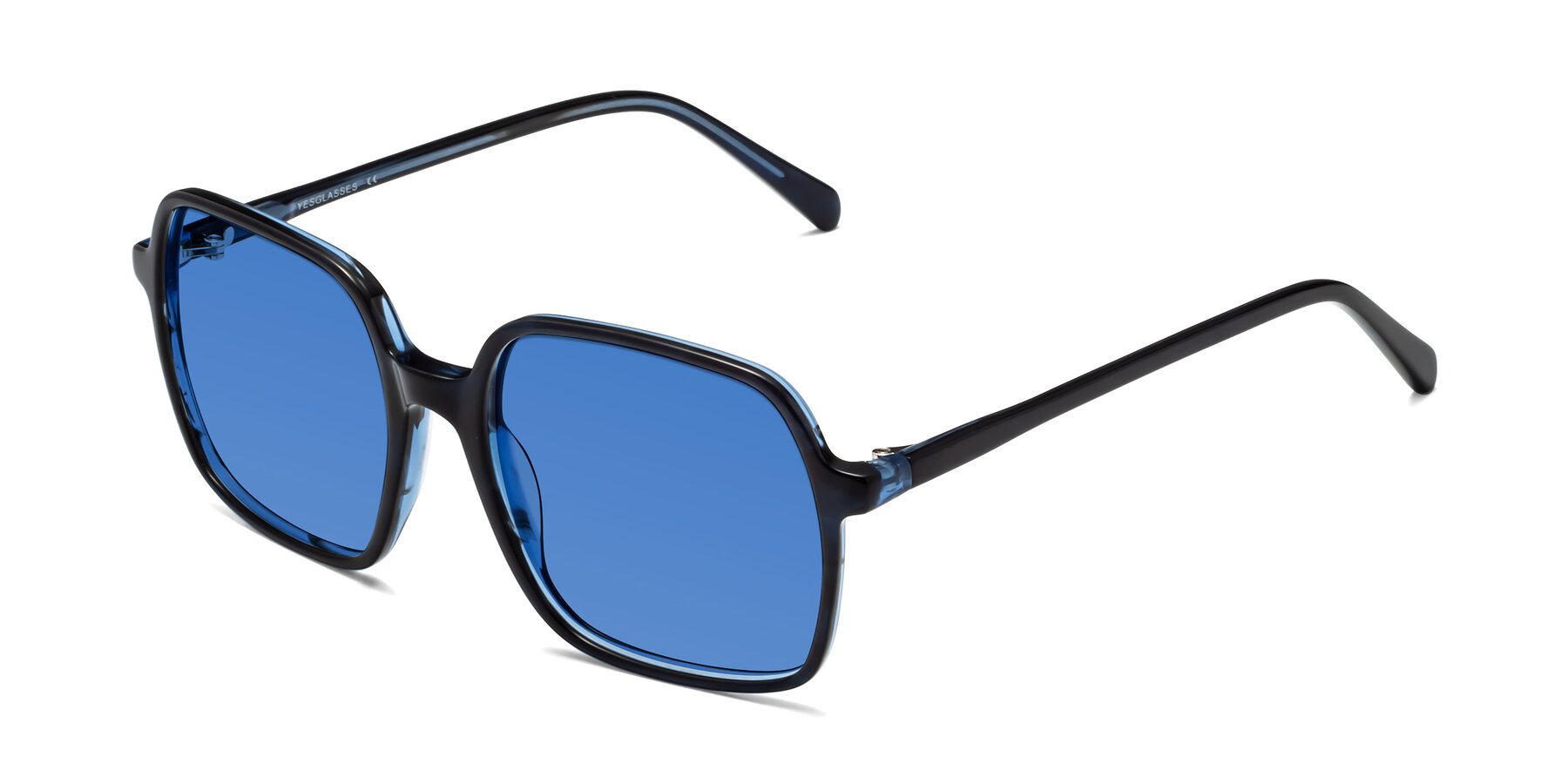 Angle of 1463 in Blue with Blue Tinted Lenses