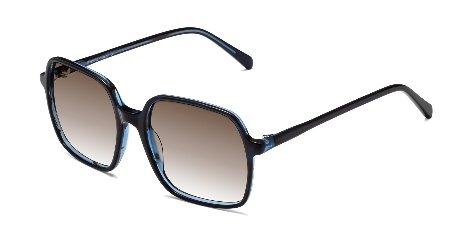 Angle of 1463 in Blue with Brown Gradient Lenses