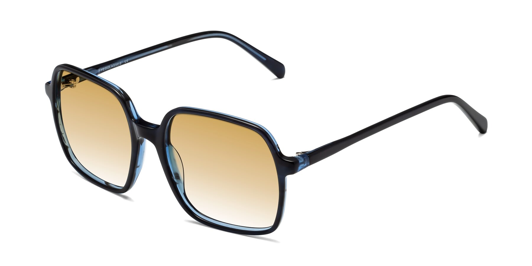 Angle of 1463 in Blue with Champagne Gradient Lenses