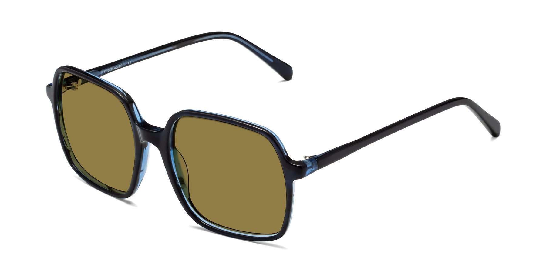Angle of 1463 in Blue with Brown Polarized Lenses