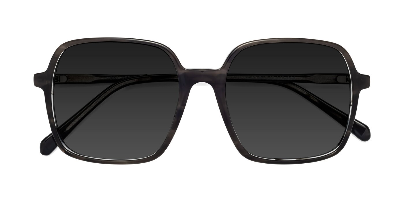 1463 - Gray Polarized Sunglasses